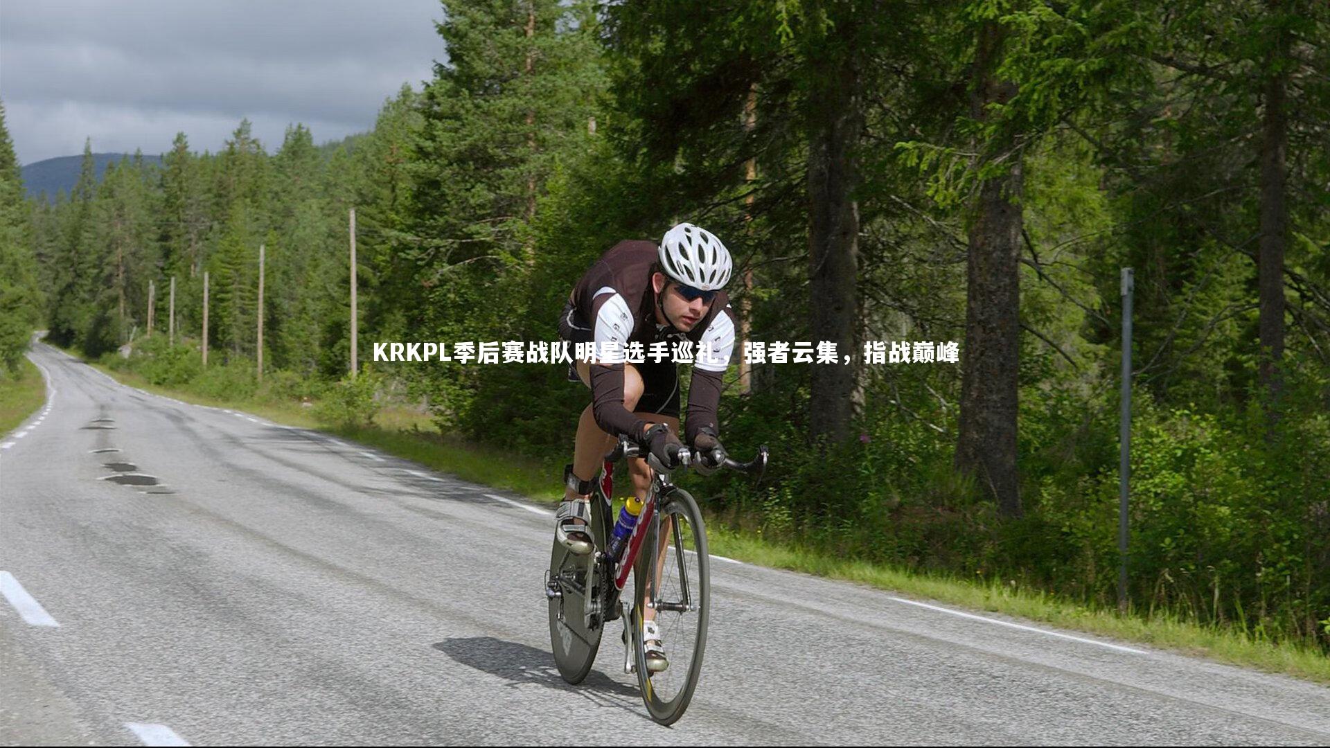 KRKPL季后赛战队明星选手巡礼,强者云集,指战巅峰